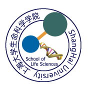 气相色谱仪5